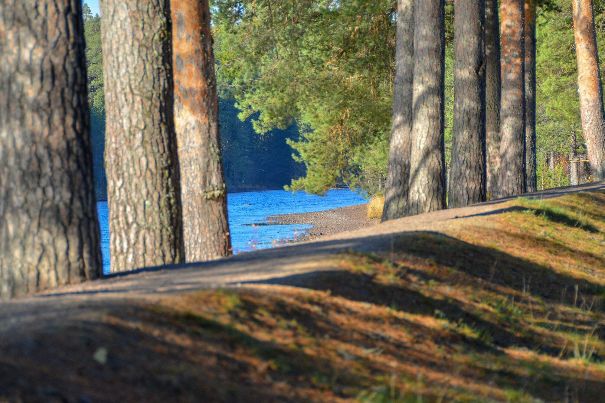 Aelvdalens Camping Buitenkant foto